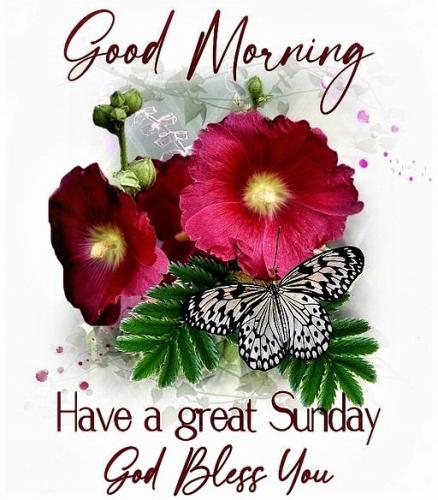 080623 - Have a great Sunday