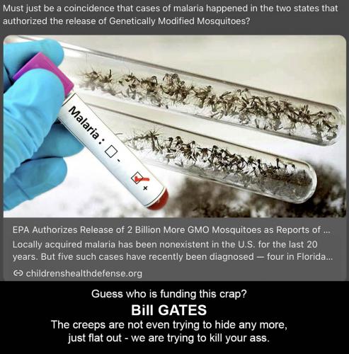 Gates malaria 17