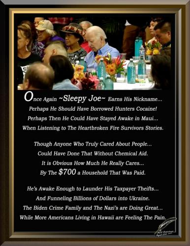 Sleepy Joe Strikes Again