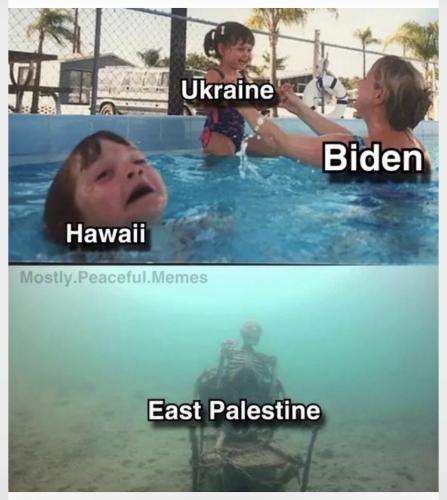 b7c9d7ffc07fbd46.jpeg