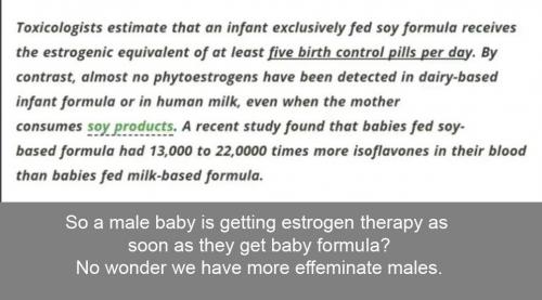 soy infant formula