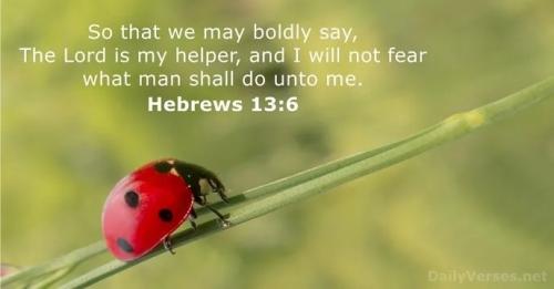 IMG_20230810_152651_218