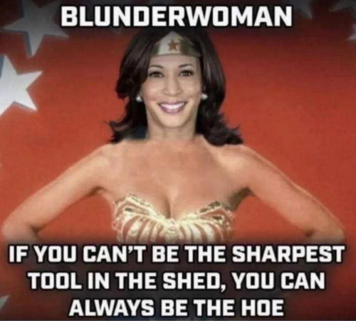 M Blunderwoman