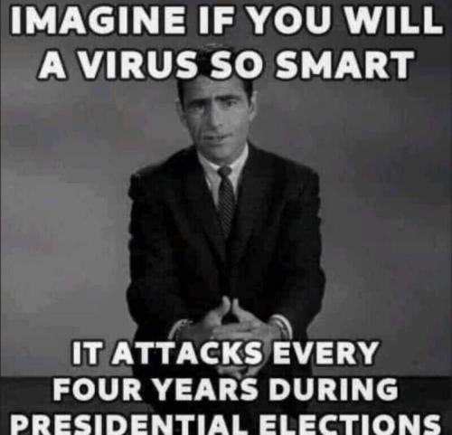 eac27ae73356f8e8