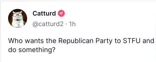 Screenshot_20230830-174636_Brave