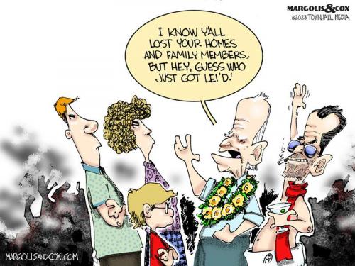 MC_BidenHawaii_web-800x0