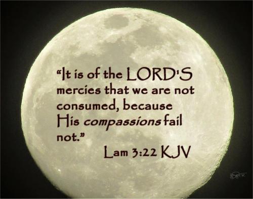 Of The LORD'S Mercies