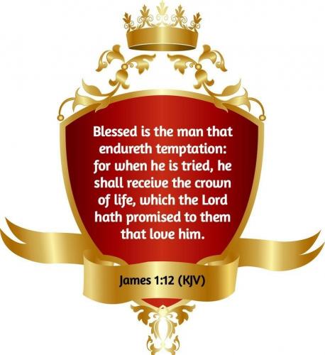 IMG_20230823_091820_845