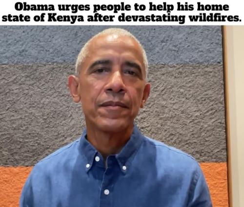 Somewhere in Kenya a village is missing its idiot2