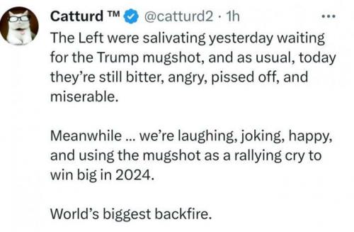 50b1509e1ef41d83.jpeg
