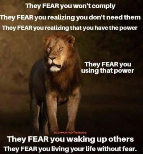 THEY FEAR YOU   TS