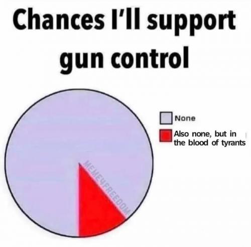 gun