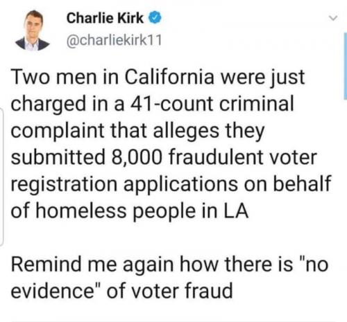 Voter Fraud