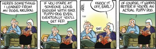 Screenshot 2023-07-26 at 06-36-19 Pickles by Brian Crane for July 26 2023 GoComics