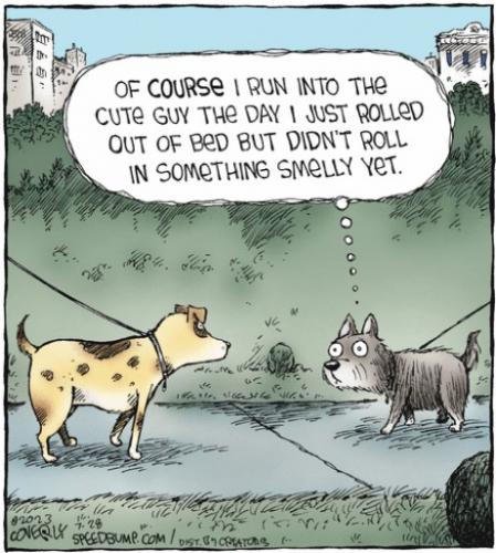 Screenshot 2023-07-28 at 07-01-57 Speed Bump by Dave Coverly for July 28 2023 GoComics