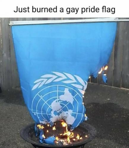 USA burned flag
