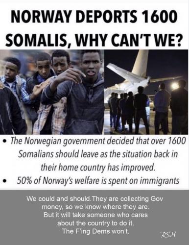 deport illegals