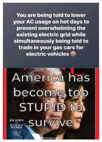 M too stupid