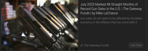 gunsales