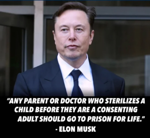 Elon Musk on genital mutilation