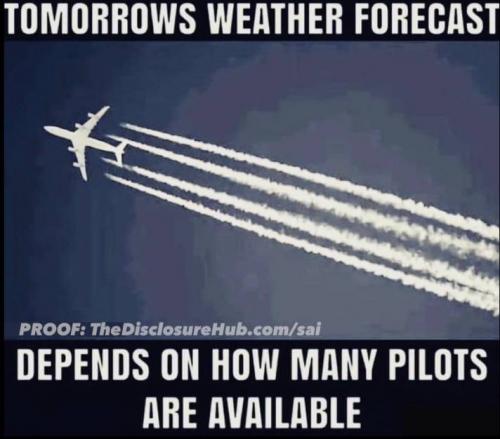 369537788_1424519288395815_8200577265332260736_n