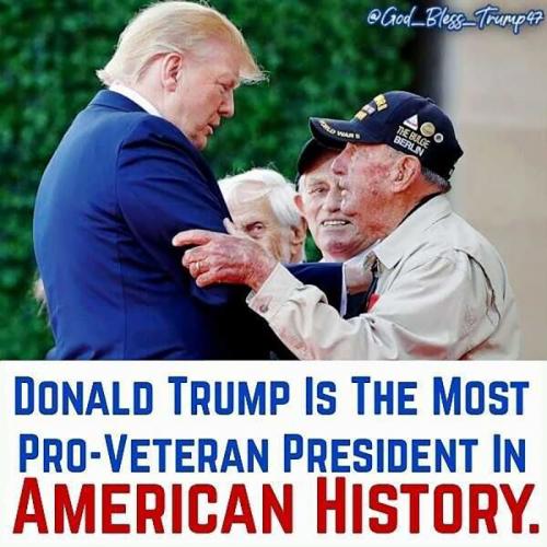 USA pro Vet Trump
