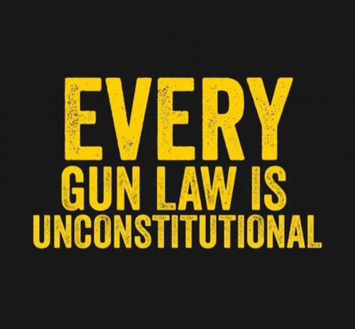 USA Every gun law