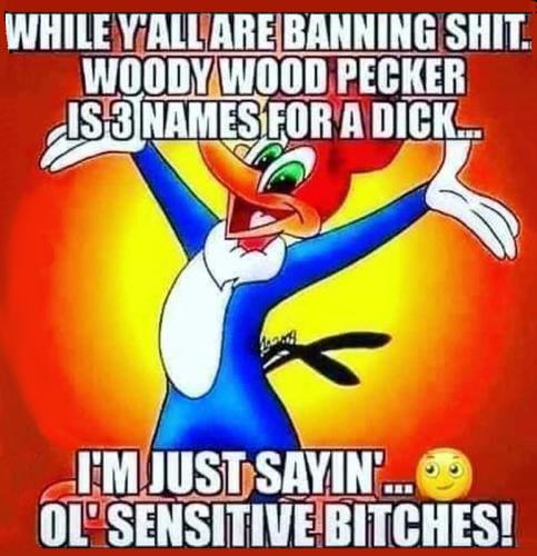 USA Woody Woodpecker