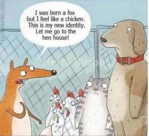 I WAS BORN A FOX   GAB