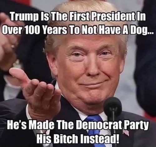 B no dog