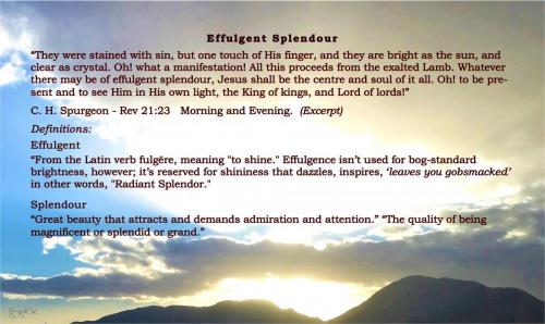 Effulgent Splendour
