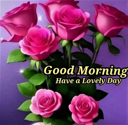 083123 - GM Lovely day