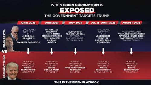 T Biden playbook