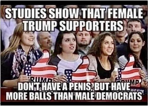 sgudies
