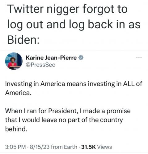 Screenshot_20230815-235851_Brave