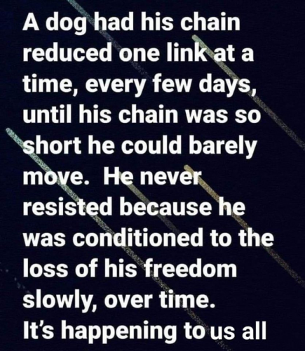 Freedom Lost