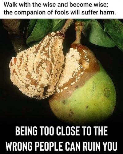 IMG_20230818_110352_910