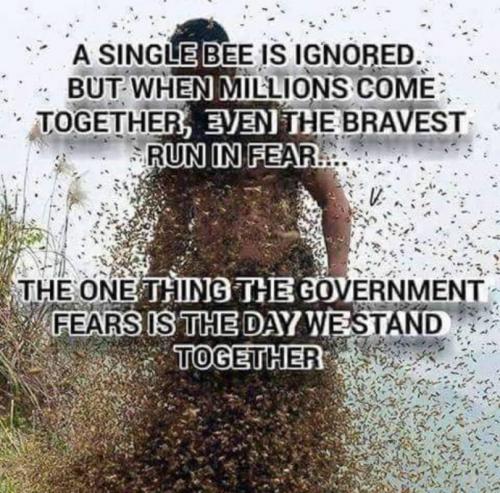 M single bee