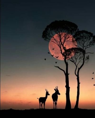 Moon - Red with tree and antelopes