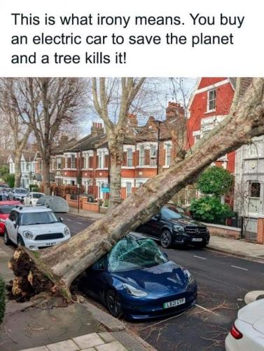 FB_IMG_1692233789423