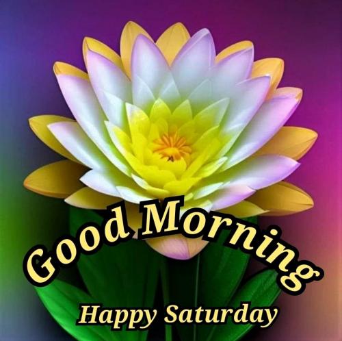 082723 - Happy Sat pretty flwr