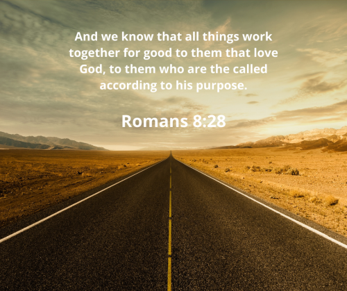 2AE545799ECA322E8DBD82D63B2749D2.bible137