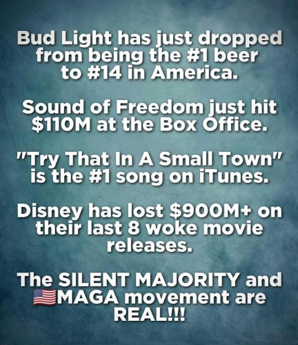 RO Silent Majority MAGA