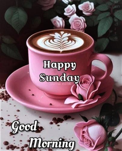 082723 - Happy Sunday pink roses