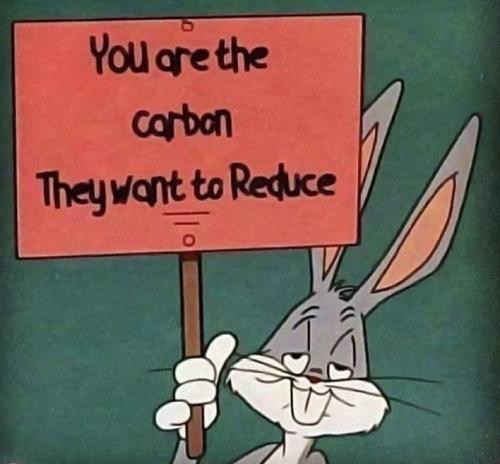 YOU ARE THE CARBON   GAB