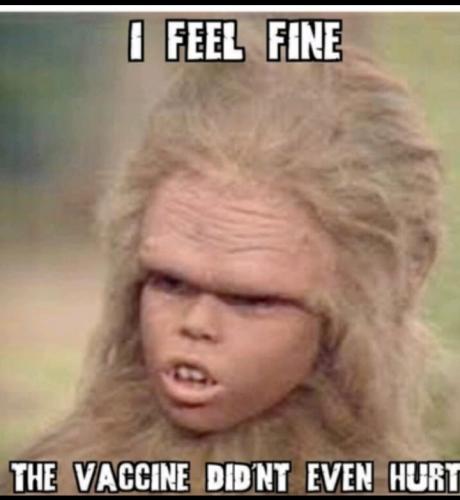 fine