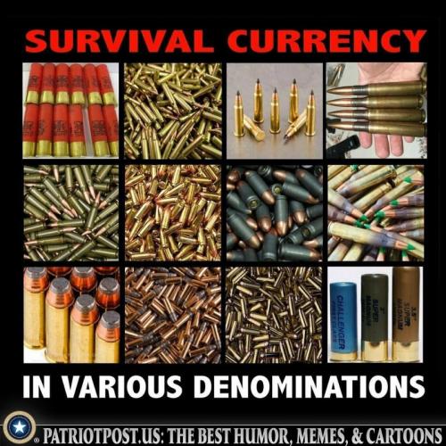 M survival currency