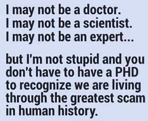 M greatest SCAM