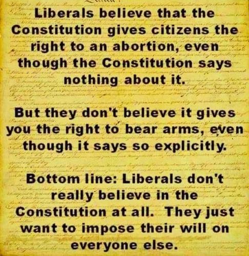 RO Liberals Constitution