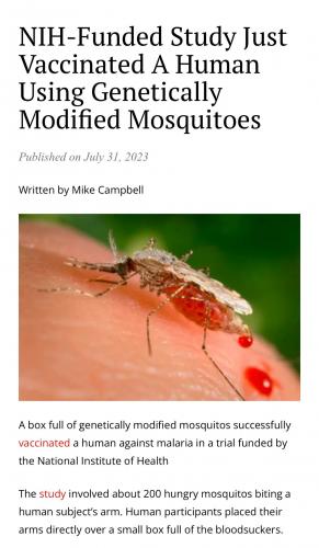NIH - Vaccinated Human with Mosquitoes
